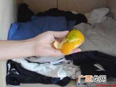 怎么防蟑螂