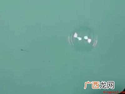 肥皂泡怎么做