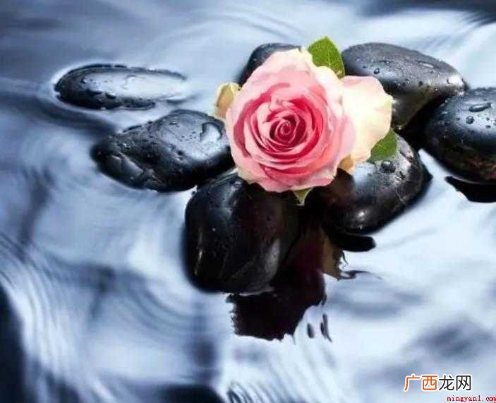 关于铭记于心造句怎么造 铭记于心造句怎么造