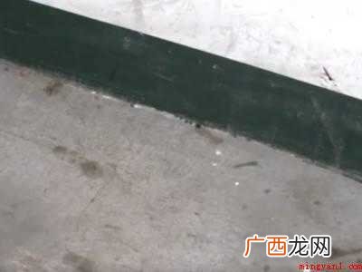 家里有像蜈蚣一样的虫怎么办