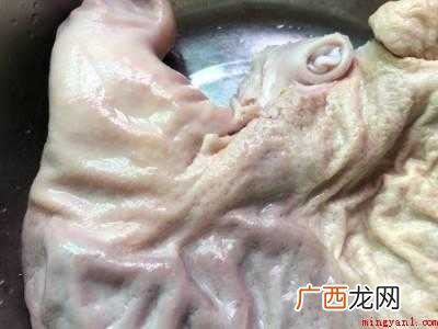 猪肚怎么煮
