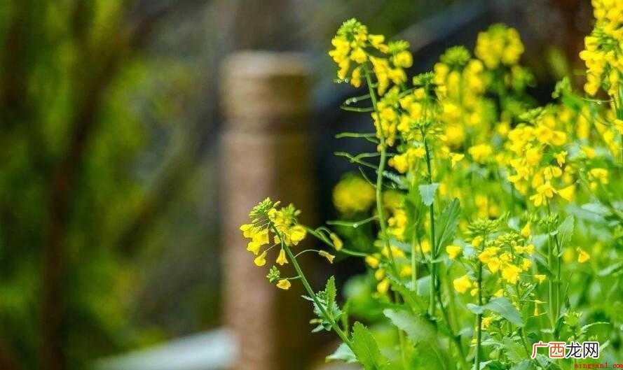 每当走进鸟语花香的公园,我的心情总会变得格外舒畅 舒畅的意思是什么