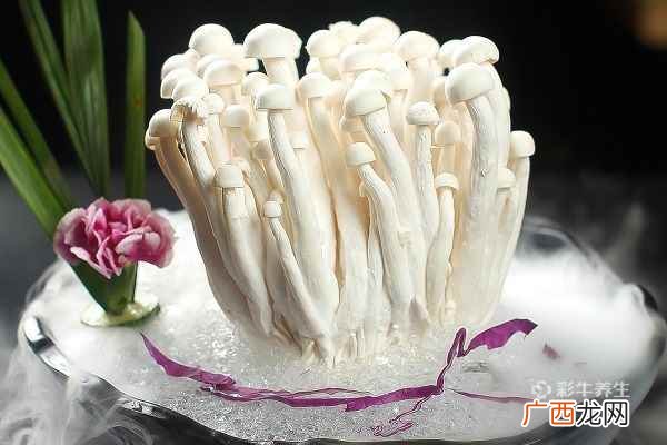 海鲜菇的功效与作用