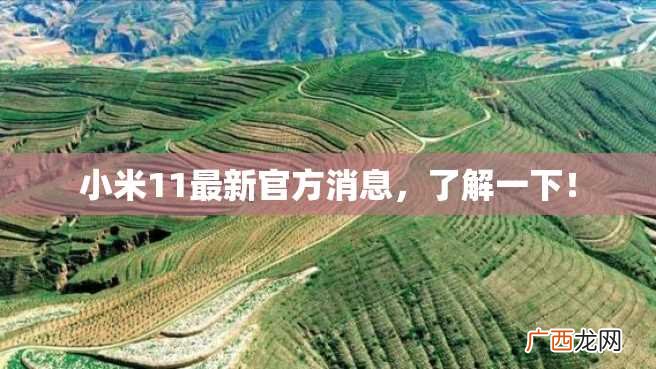 小米11最新官方消息，了解一下！
