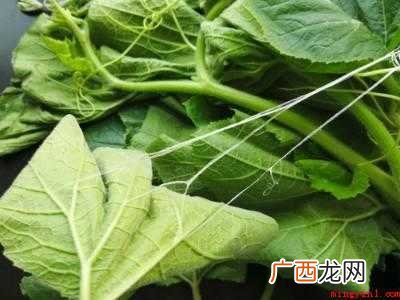 南瓜叶怎么处理干净
