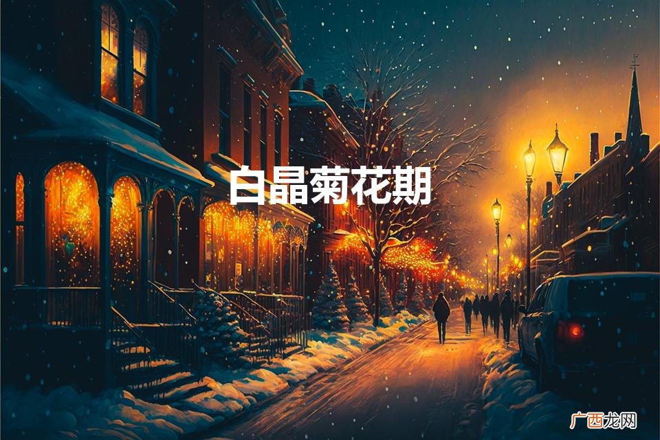 雏菊与白晶菊的区别 白晶菊花期