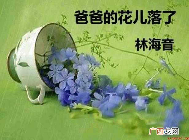 《爸爸的花儿落了》读后感怎么写