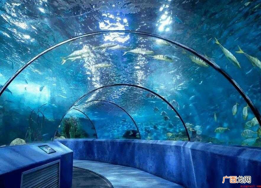 厦门海底世界门票多少