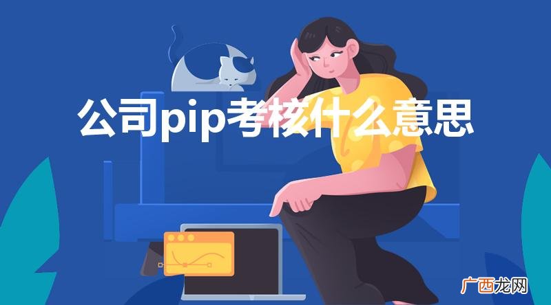 pip考核是什么意思 公司pip考核什么意思