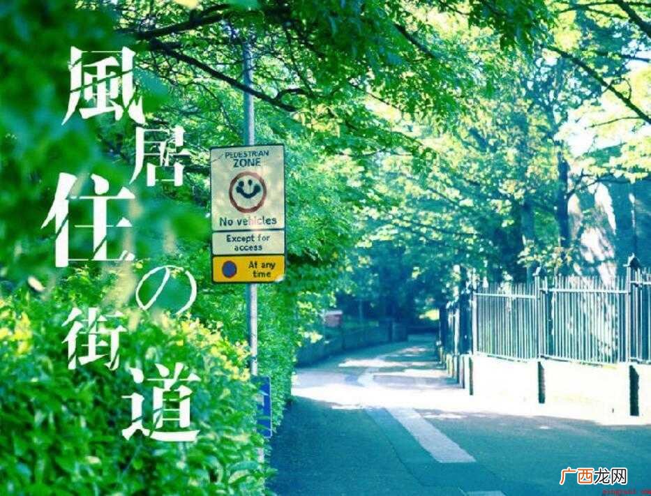 风居住的街道中文歌词是什么 《风居住的街道》中文歌词是什么