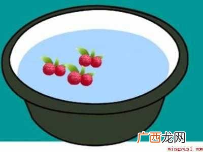 杨梅里的小白虫怎么泡出来