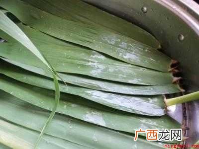 自己摘的芦苇叶怎么处理