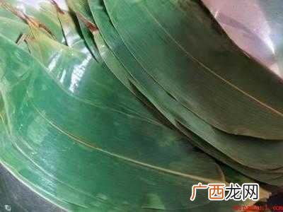 自己摘的芦苇叶怎么处理