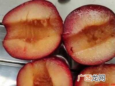 李子的储存和保鲜方法