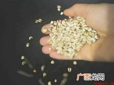 薏米怎么炒