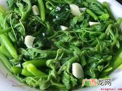南瓜藤怎么炒好吃又简单