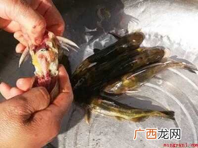 三枪鱼怎么做好吃