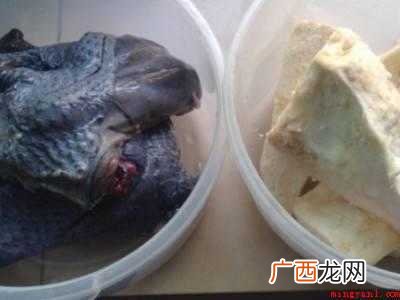 榴莲煲汤怎么做