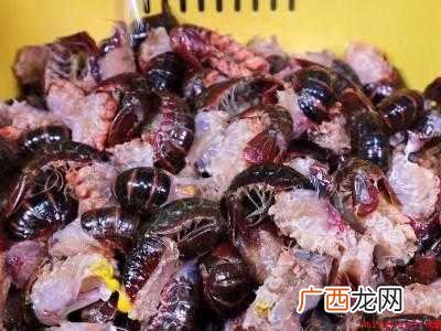 夏天的龙虾怎么保存到冬天吃