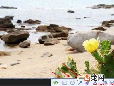如何在图片上标注红框
