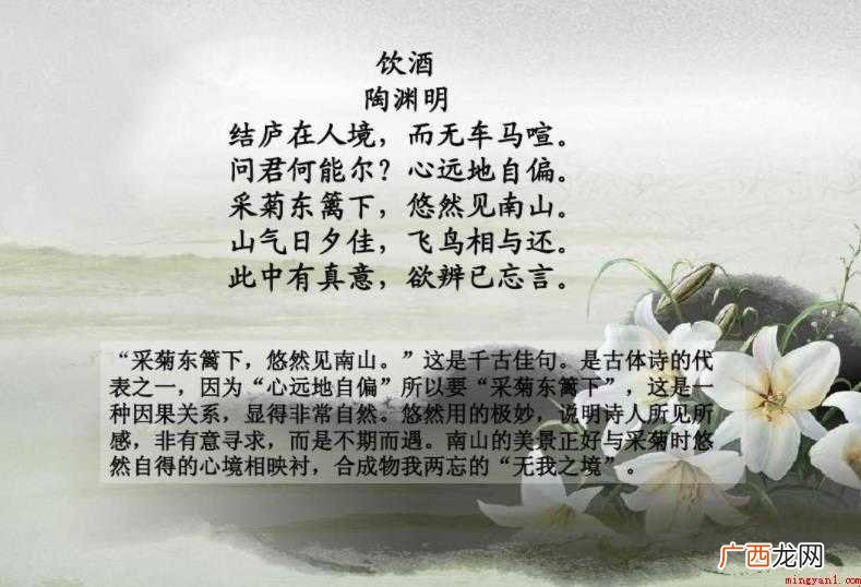 飞鸟相与还的上一句诗是什么