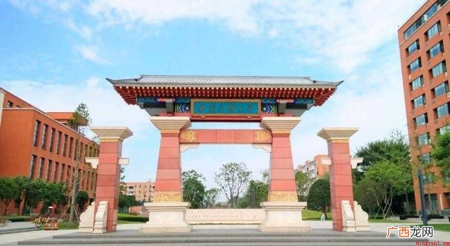 西南民族大学是211大学吗