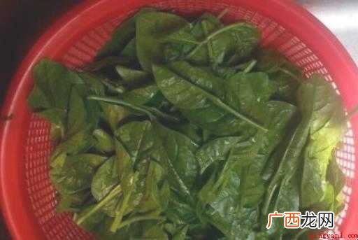 木耳菜的做法是什么