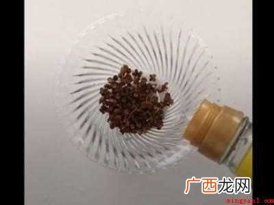 怎样去除蚊子的生活妙招