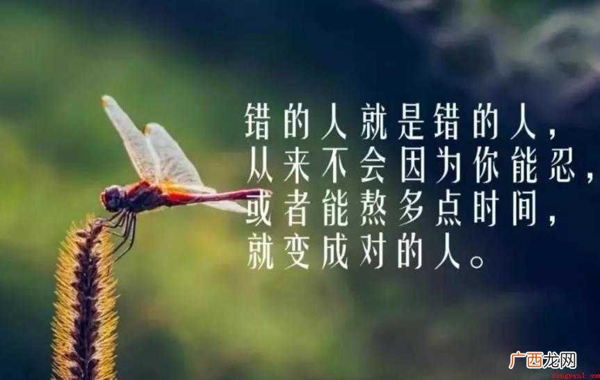 心灵鸡汤经典语录有哪些