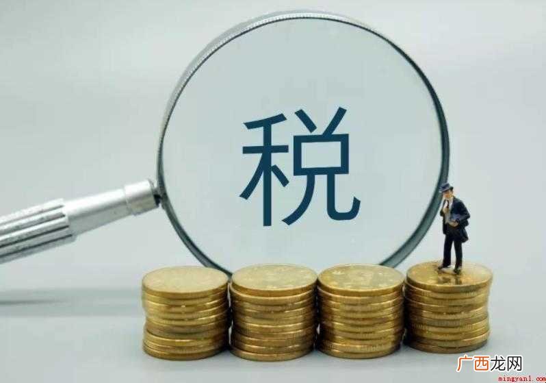 报税流程是什么