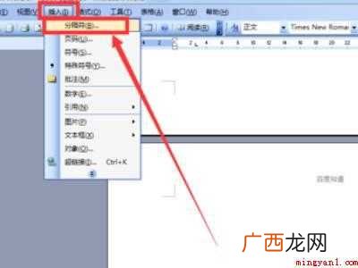 怎么删除指定页的页眉