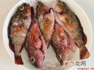 石九公鱼做法