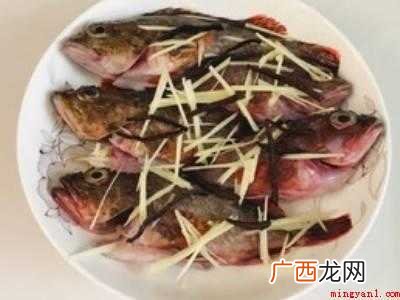 石九公鱼做法