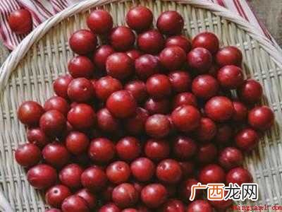 李子酿酒方法和步骤