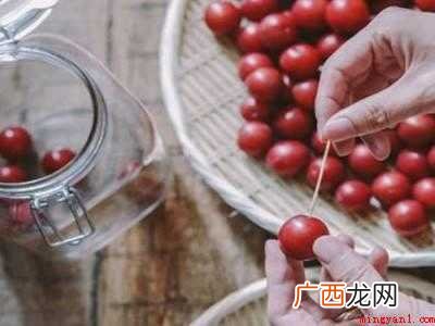 李子酿酒方法和步骤
