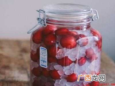 李子酿酒方法和步骤