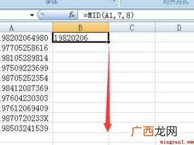 excel表格为什么不执行公式