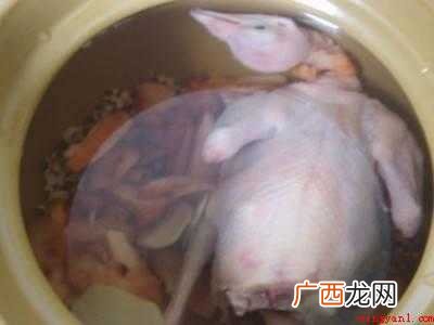 鸽子怎么做有营养又好吃