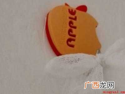 物理防蚊子的方法