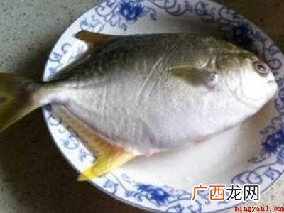 冻金鲳鱼怎么做好吃