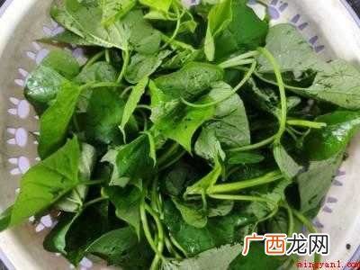 瓜苗怎么炒才好吃共有3步 瓜苗怎么炒才好吃