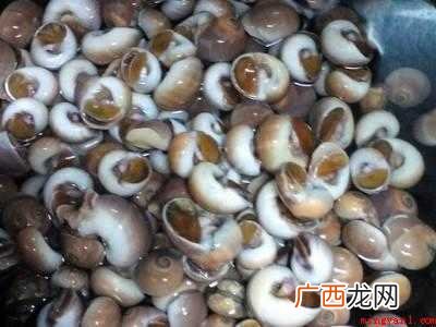 海螺怎么做好吃又简单