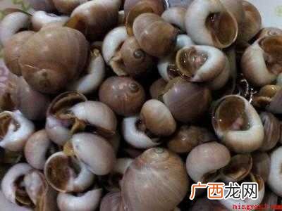 海螺怎么做好吃又简单
