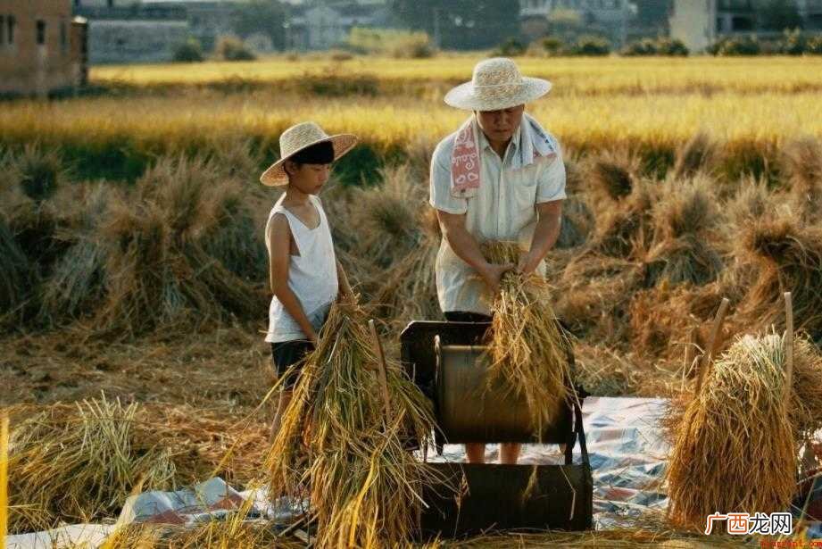 《童年往事》电影剧情简介是什么