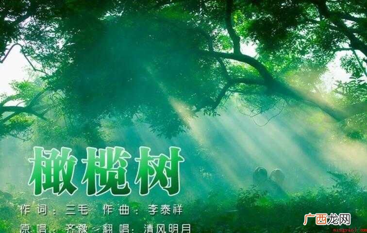 《橄榄树》的歌词是什么
