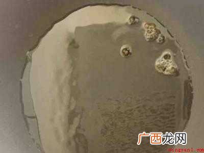 荆芥菜怎么做好吃
