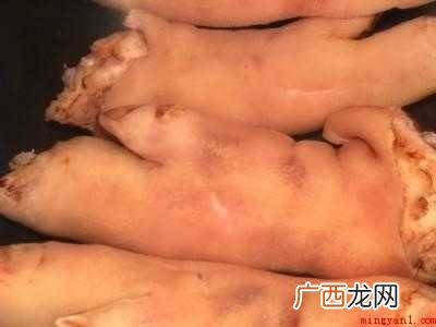 怎么卤猪蹄