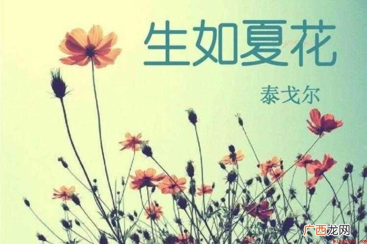 生如夏花之绚烂出自哪首诗