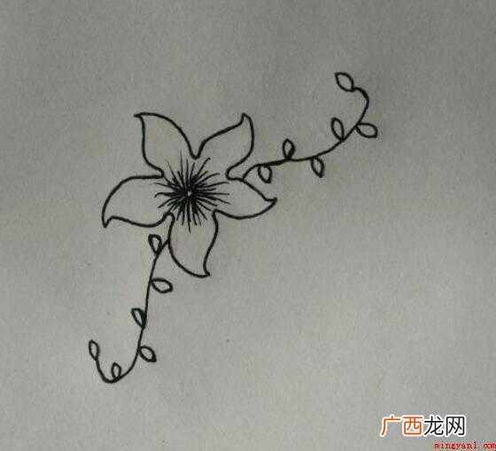 手抄报花边边框怎么画 花边边框怎么画