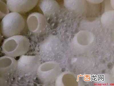 蚕茧怎么剥茧
